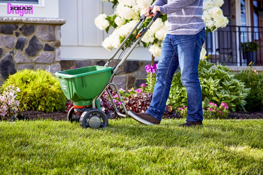 Perfect Garden Care Routine for small lawn